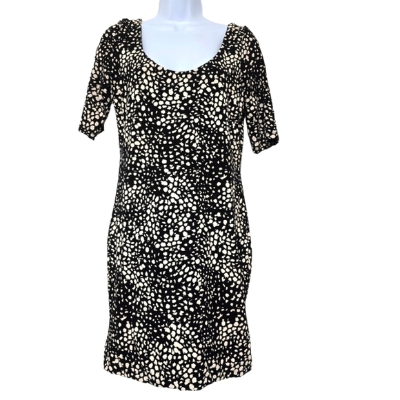 H&M Dress - Picture 1 of 6